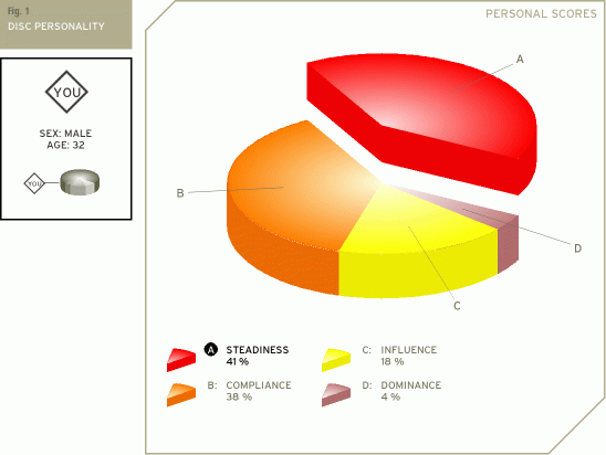 disc personality test